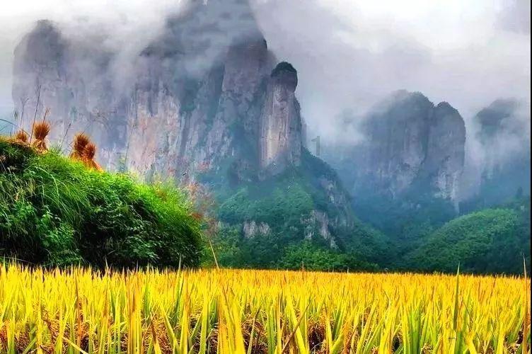 升空的泡泡2